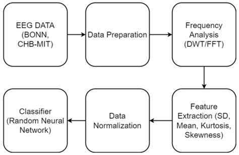 Epileptic Seizure Classification Based on Random Neural Networks Using ...