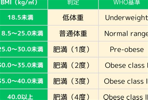 Image result for High Level Database GUI