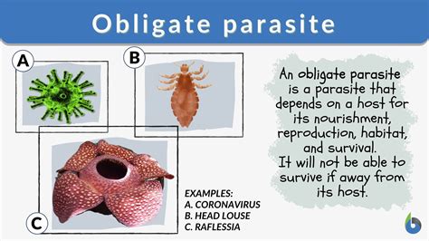 Parasites