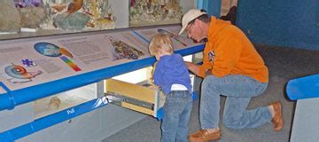 Image result for USQ Library Springfield