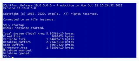 Image result for Scan Resolution in Oracle19c