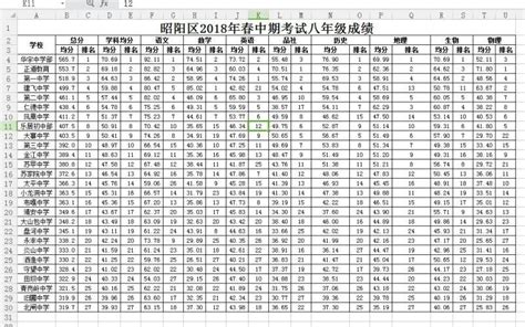 正道教育在昭阳区2018年中期考试年级成绩中的排名-昭通正道高级完全中学官方网站