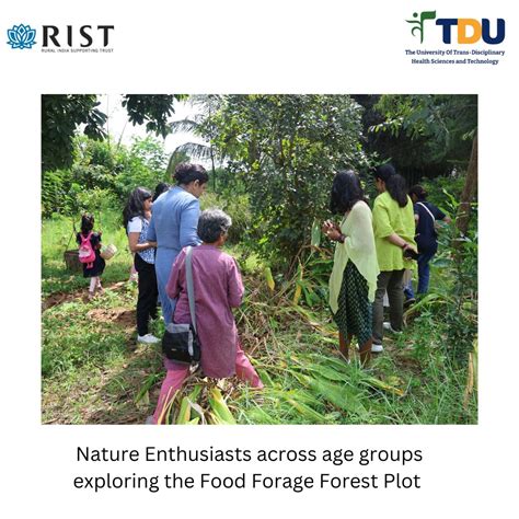 Food Forage Forests: A Holistic Approach to Sustainability