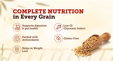 Jowar Benefits for Health | Nutrition, Uses & More – HOUSE OF VEDA