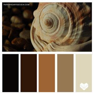 Image result for Shell Casing Color Palette