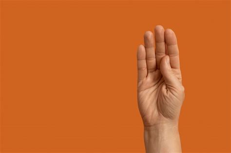 Image result for Hand Over Forearms Sign Language