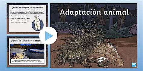 Presentación: Adaptación animal (teacher made) - Twinkl