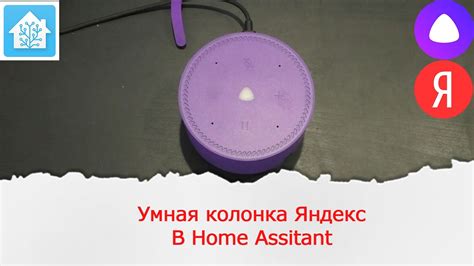Управление устройствами умного дома Home Assistant с помощью умной ...