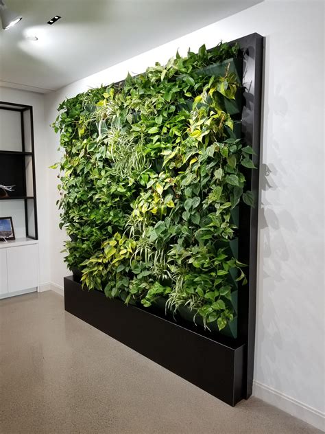 The ultimate guide to living green walls – Artofit