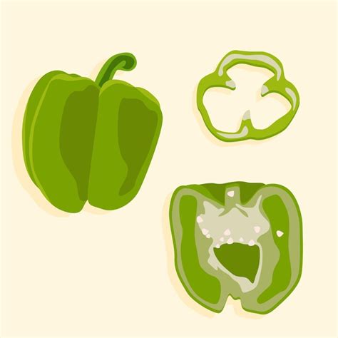 Green bell pepper vector illustration a whole pepper a pepper wedge and ...