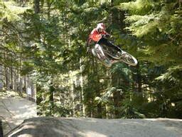 Photos - Roots & Rain