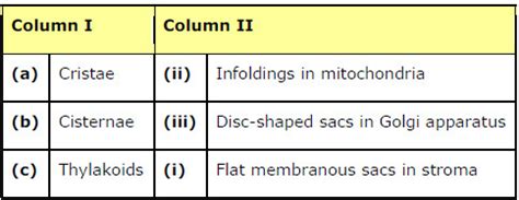 Cell The Unit of Life ncert solution class 11 Biology