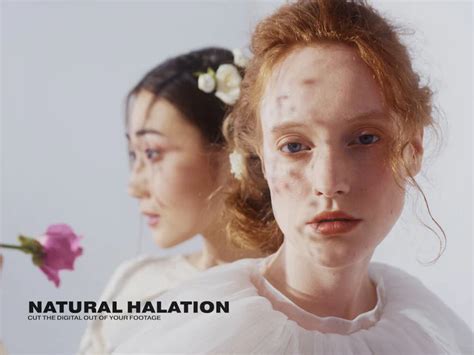 Image result for Diffusion Filter Halation Effect