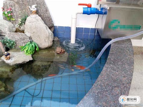 自制鱼缸虹吸水循环图,鱼缸水循环泵,无泵循环水怎么做图片_大山谷图库