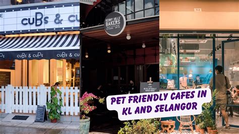 12 Pet Friendly Cafes In KL And Selangor Where You Can Chill With Your ...