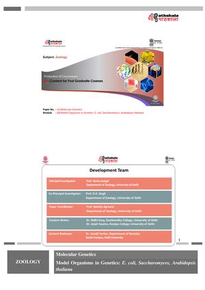 Module 15: Model Organisms in Genetics: Mus musculus, Zebrafish - Paper ...