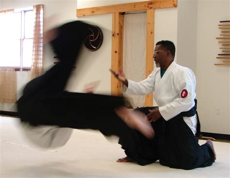 Aikido Lessons Free 的图像结果