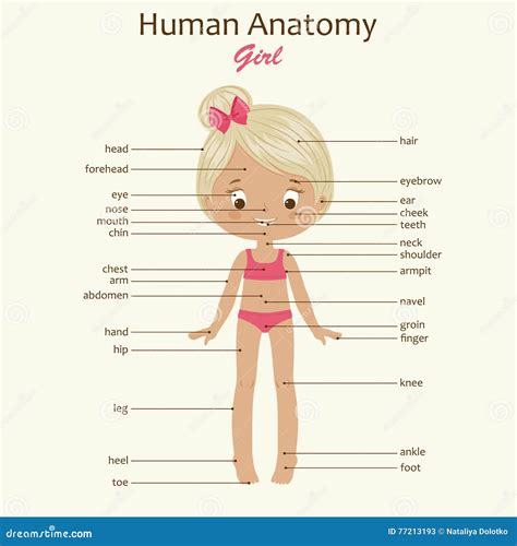 Baby Girl Body Parts Name at Judy Dittman blog