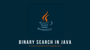 Java Array Binary Search 的图像结果