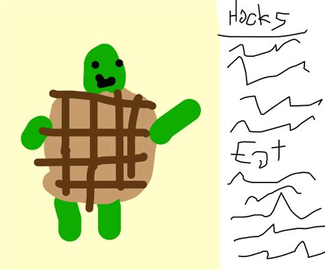 Image result for How to Do Turtle Coding
