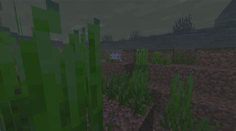 Image result for Minecraft Java Demo