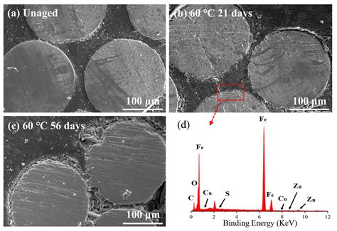 Hydrothermal Aging Mechanisms of All-Steel Radial Tire Composites