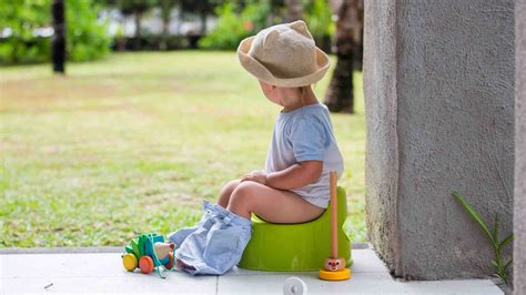 Toilet training methods explained | Andrex®