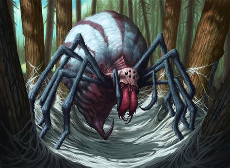 Mysterious Giant Spiders of the Congo