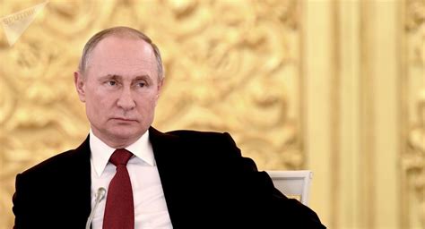 普京在与泽连斯基会谈时提出基辅是否打算真正去执行明斯克协议这一问题 - 俄罗斯卫星通讯社