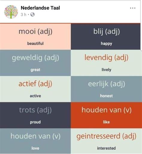 Dutch Language Example 的图像结果
