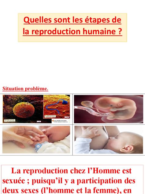 La Reproduction Humaine 的图像结果