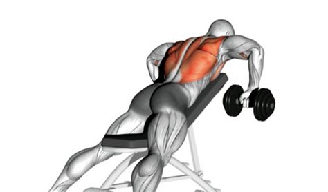 Chest-Supported Dumbbell Row: How-to, Tips & Mistakes