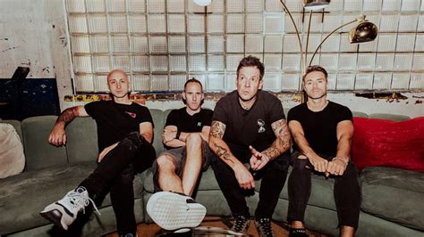 Image result for Simple Plan Vinyl Box Set