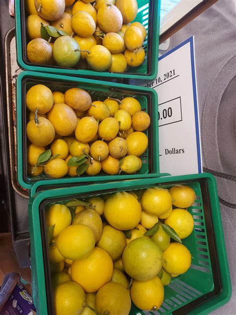 Local Food Systems 的图像结果