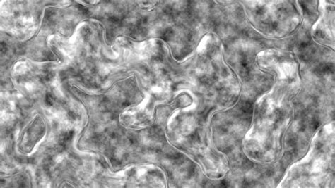 OBS Animated Background 的图像结果