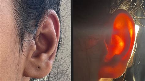 Subsurface Scattering Tutorial 的图像结果