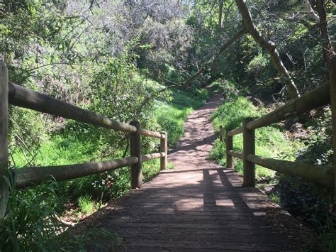 Franklin Canyon Park Hike | Best Los Angeles Hiking Trails