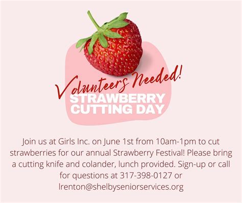 Advantage Shelby County-Service Hours-SSS Strawberry Festival Berry ...