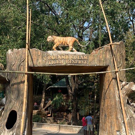 Topslip Anamalai Tiger Reserve (Pollachi Town) - 2020 What to Know ...