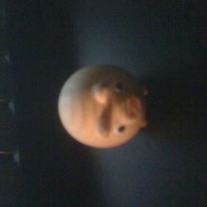 Image result for Bionic Streamer