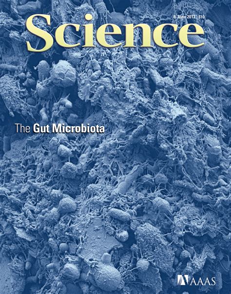 Gut Health Books Pdf Retail Prices | www.oceanproperty.co.th