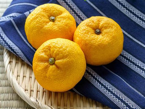 Yuzu Fruit Yuzu — Melissas Produce