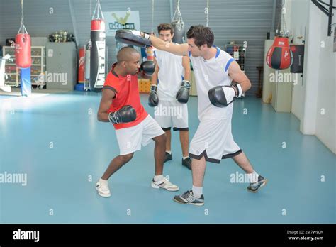 Pro Boxing Sparring 的图像结果