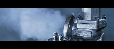 Spring-loaded Safety Valves| LESER