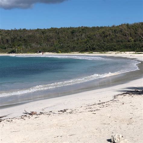 VIEQUES ISLAND TOURS & TRANSPORTATION (2026) All You Need to Know ...