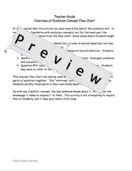Evolution Process Flow Chart 的图像结果