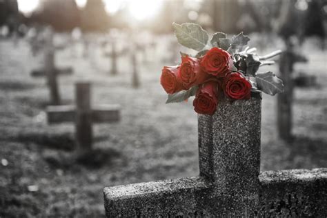 生与死——墓葬壁画中的世界_文化_腾讯网