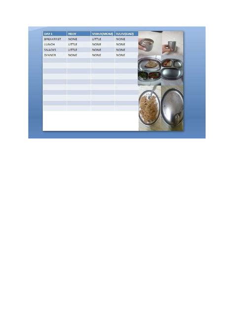 Image result for Food Log Example