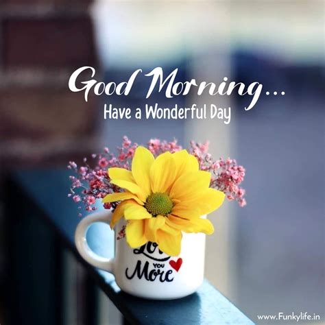 Latest Good Morning Wallpaper