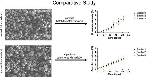 Investigation of the Impact of Manufacturing Methods on Protein-Based ...